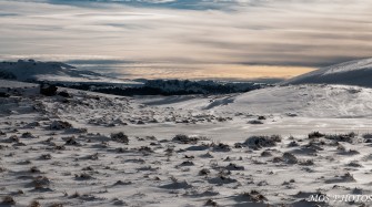 Profitons des balades en raquettes !