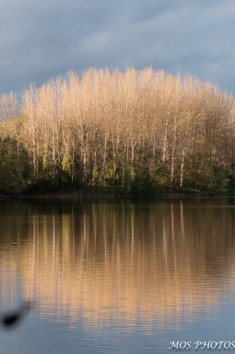 Promenade en hauteur
