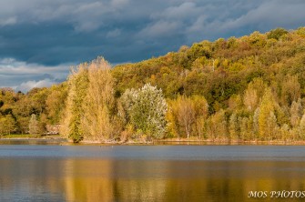 AUTOMNE AU BORD DE L’ALLIER
