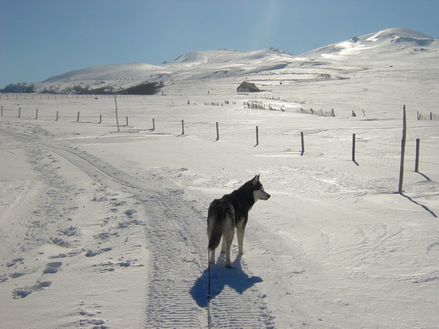 neige 2006 053