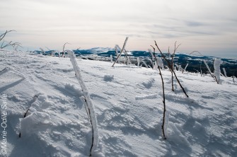 Côté Pile Côté Face au Puy de Dôme