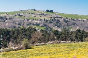 Une balade printanière du côté de COURNOLS