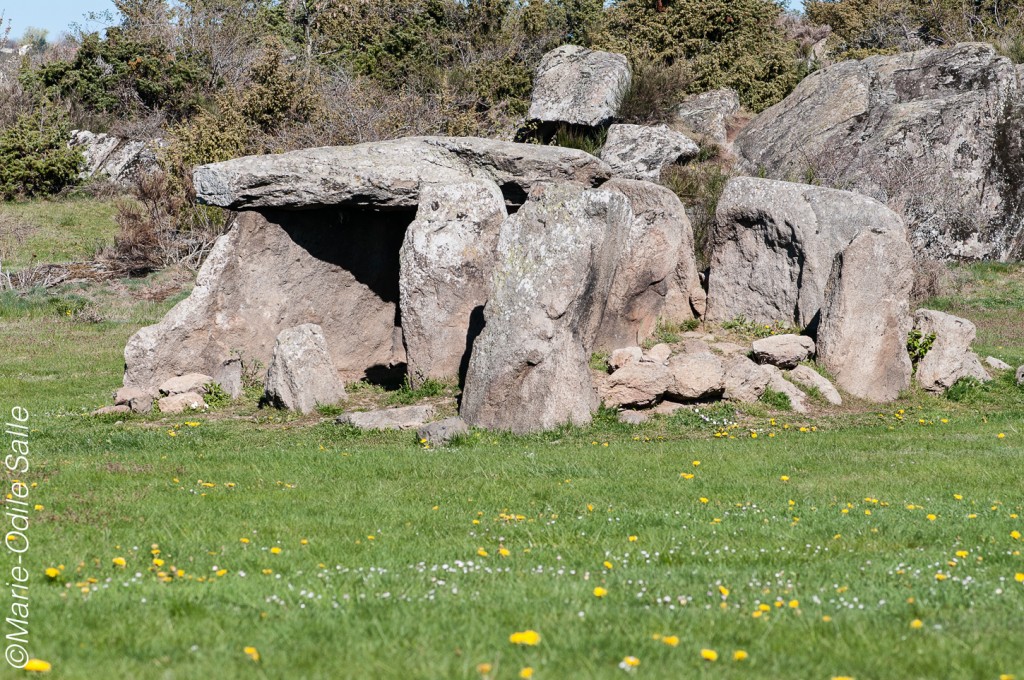Le dolmen, très proche de Cournols