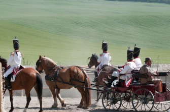 Les chevaux à la Ronzière