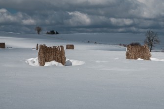 Paysages sur la route du Mont-dore