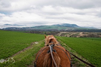 Découverte de l’Attelage