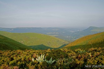 Quelques crètes Croix Morand croix St Robert