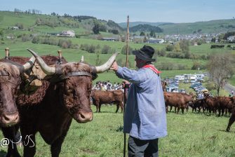 La fête de l’Estive d’Allanche