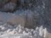 La magie de la cascade de glace